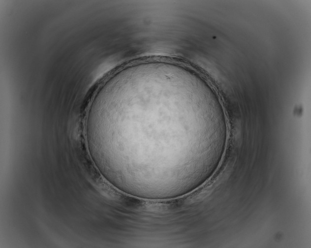 X0000101211258200807071330