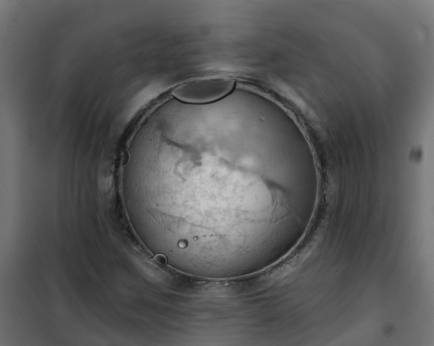 X0000101211259200807071330