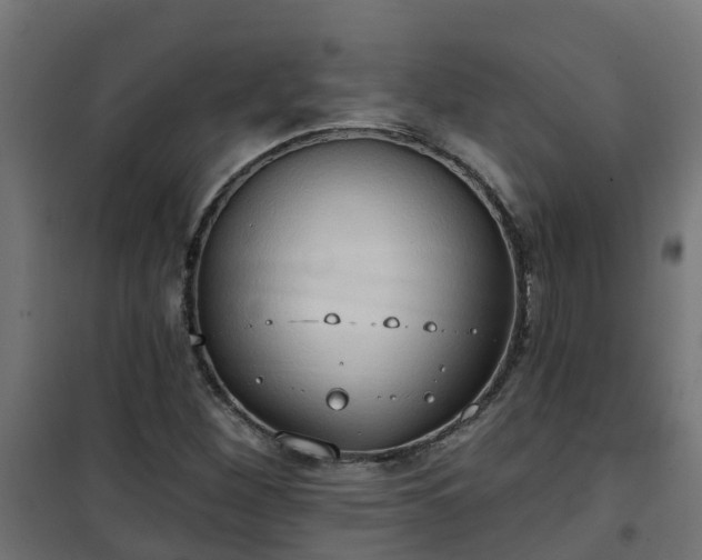 X0000101211260200807071330