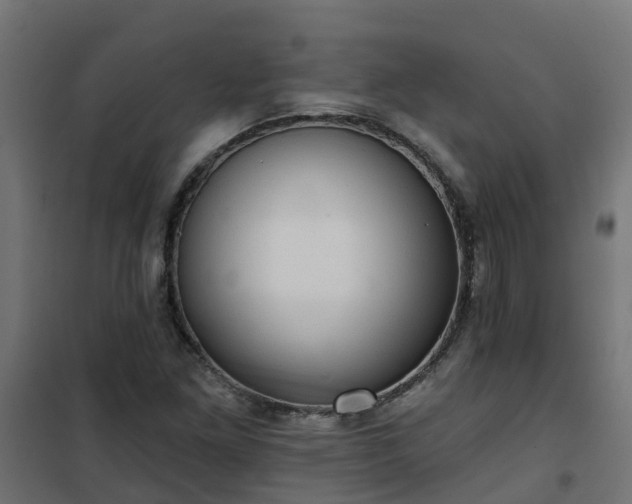 X0000101211261200807071330