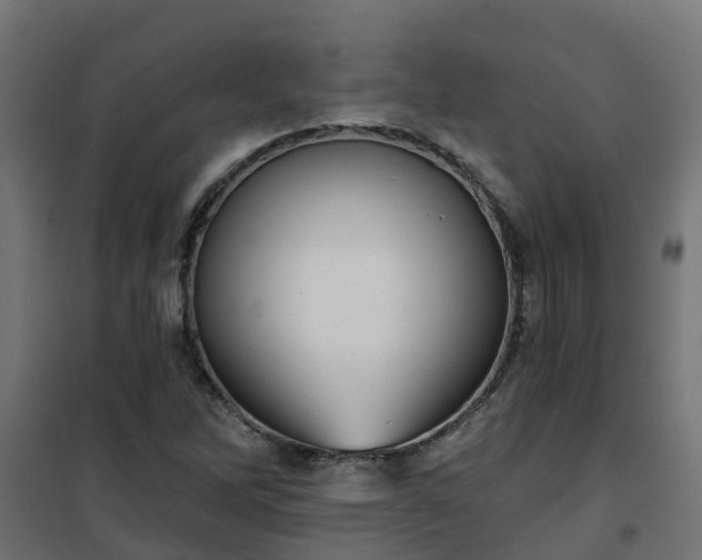 X0000101211262200807071330