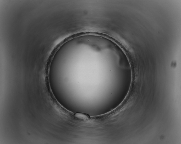 X0000101211264200807071330