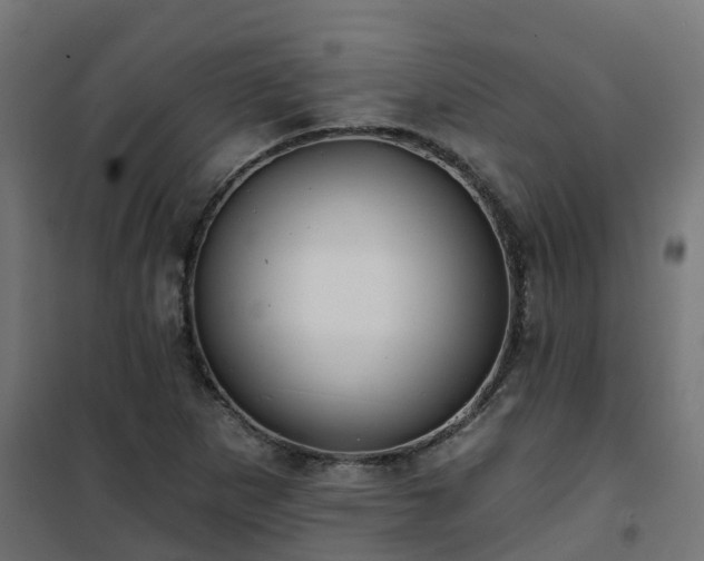 X0000101211265200807071330