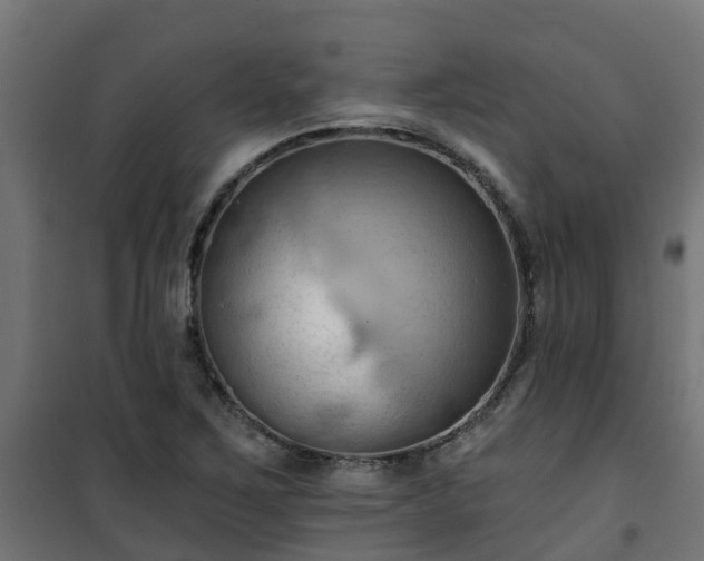 X0000101211267200807071330