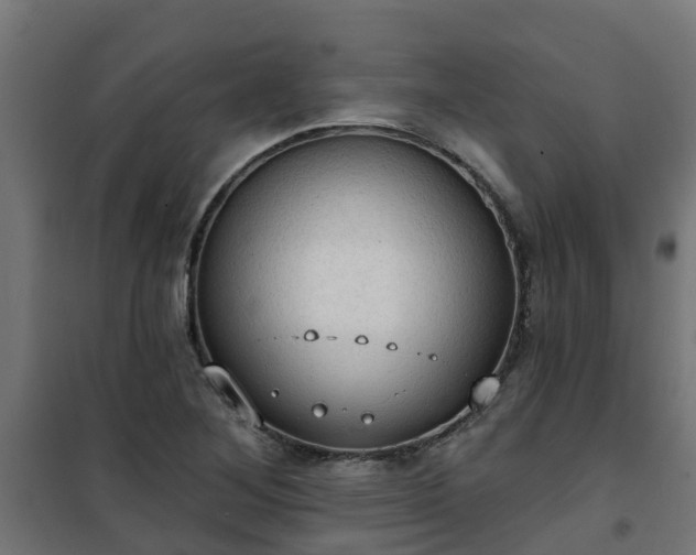 X0000101211268200807071330