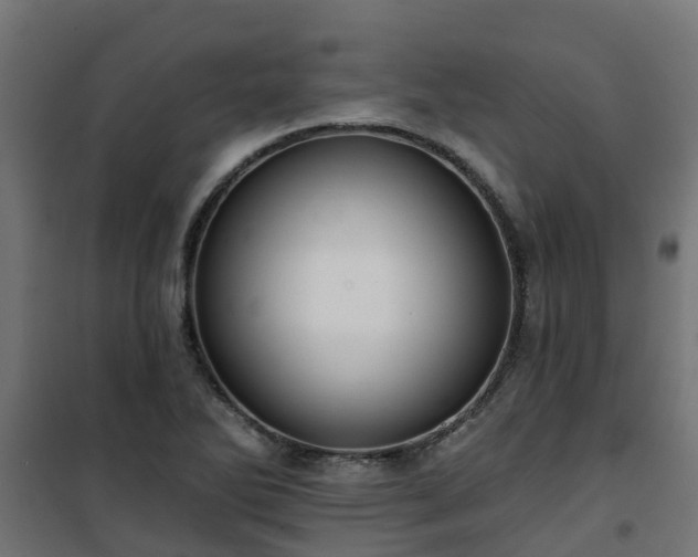 X0000101211270200807071330