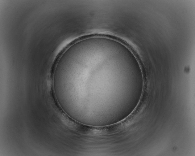 X0000101211271200807071330