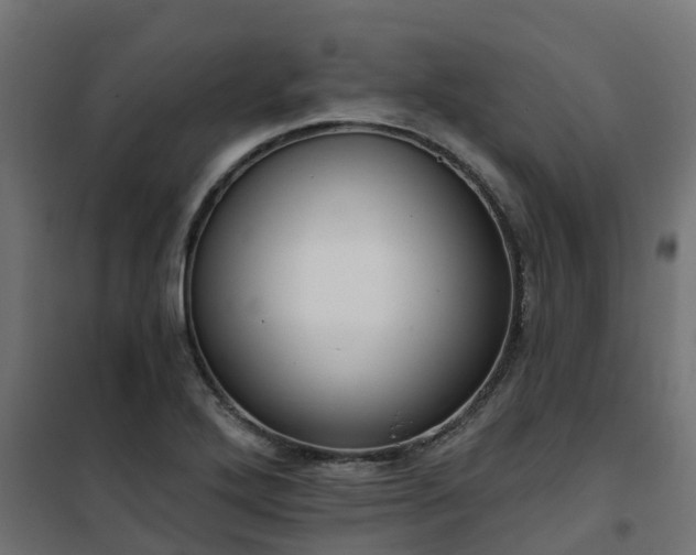 X0000101211272200807071330