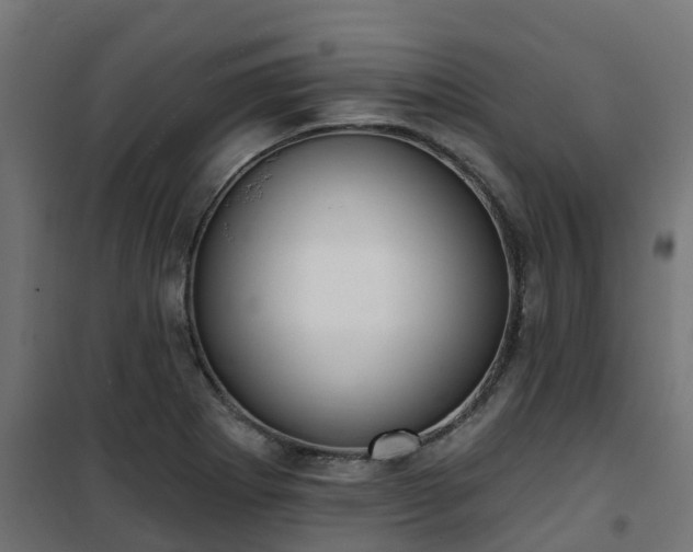 X0000101211273200807071330