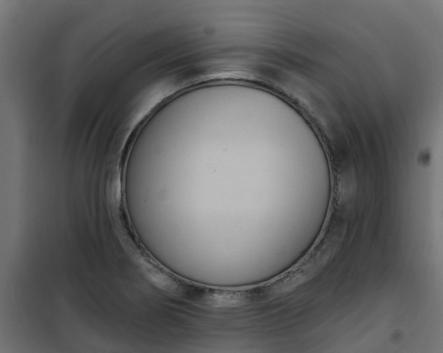 X0000101211274200807071330