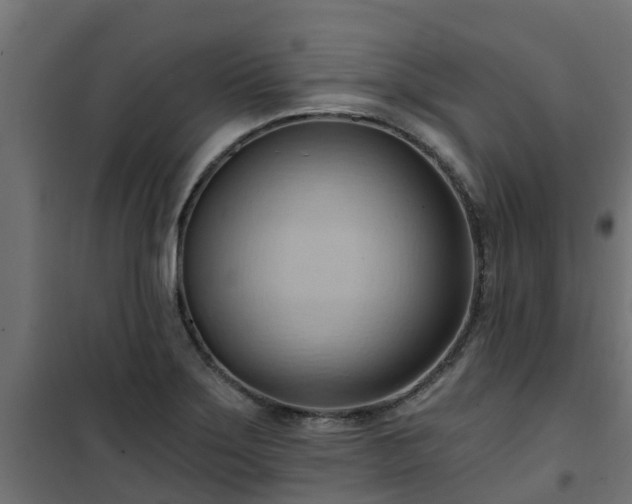 X0000101211275200807071330