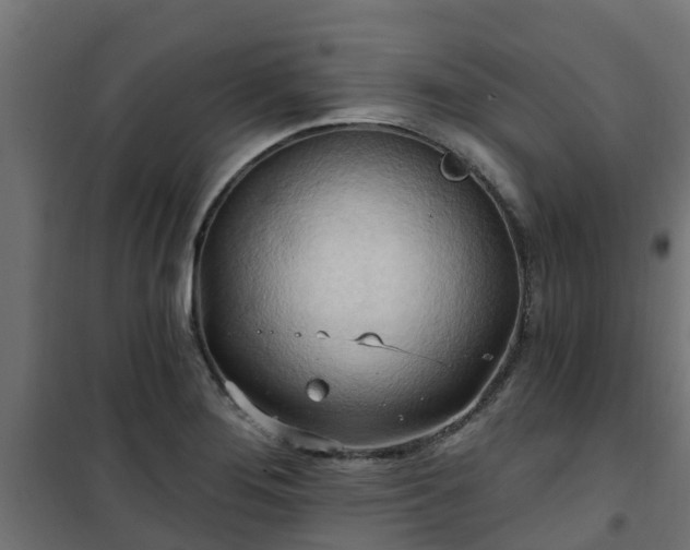 X0000101211276200807071330