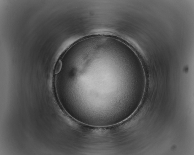 X0000101211277200807071330