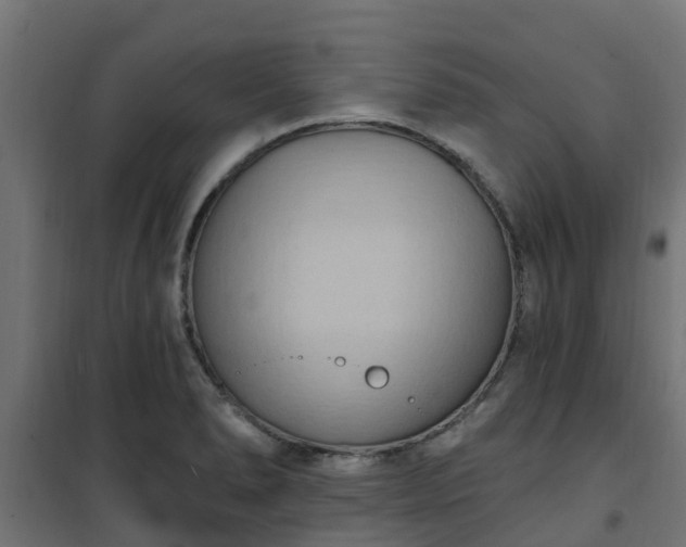 X0000101211278200807071330