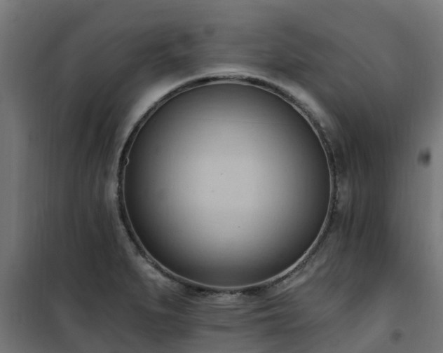 X0000101211279200807071330