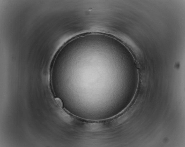 X0000101211280200807071330