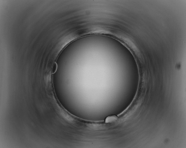 X0000101211281200807071330