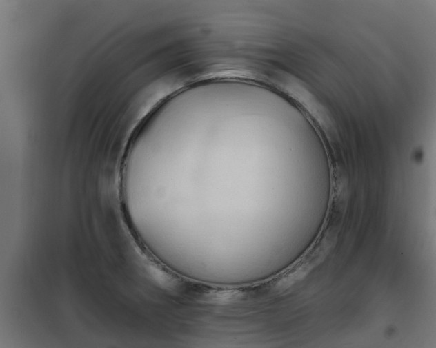 X0000101211282200807071330