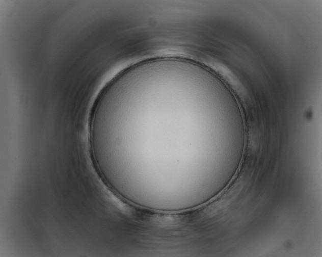 X0000101211286200807071329