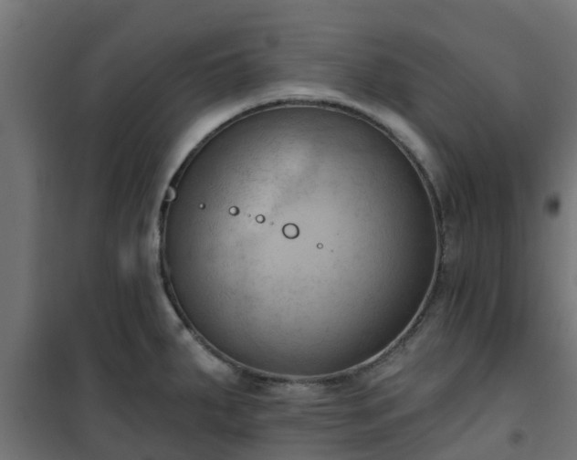 X0000101211287200807071329