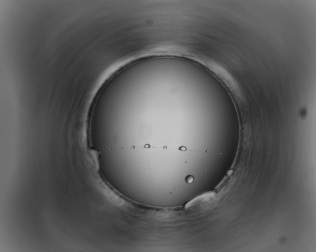 X0000101211288200807071329