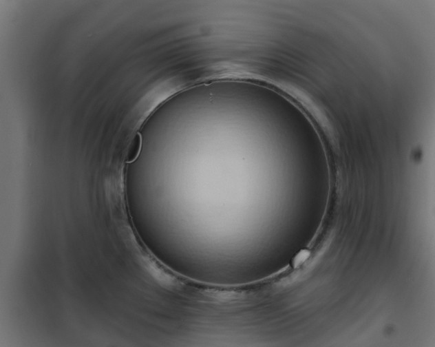 X0000101211289200807071329