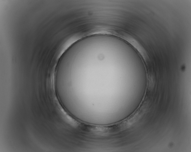 X0000101211290200807071329