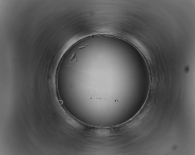 X0000101211291200807071329