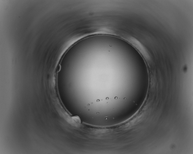 X0000101211292200807071329