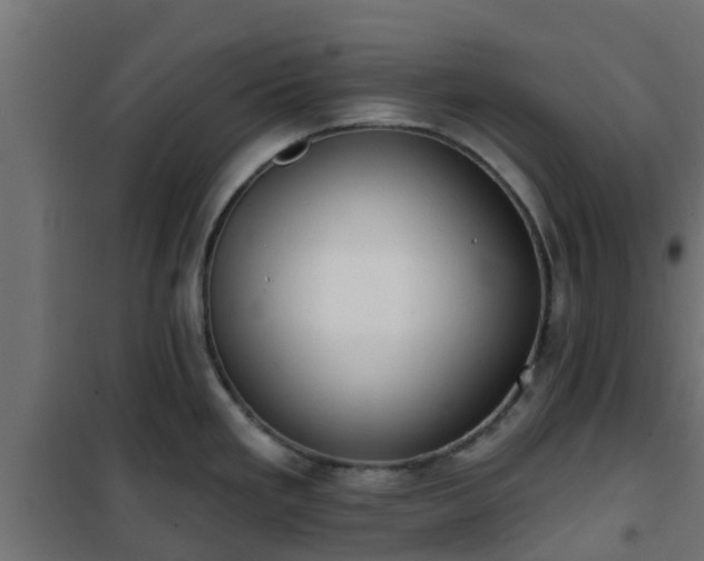 X0000101211293200807071329