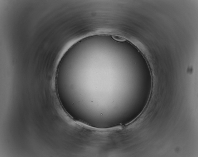 X0000101211296200807071329