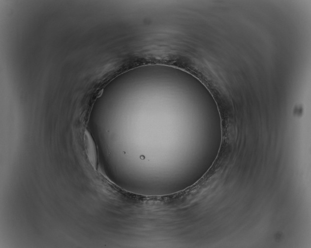 X0000101211297200807071329