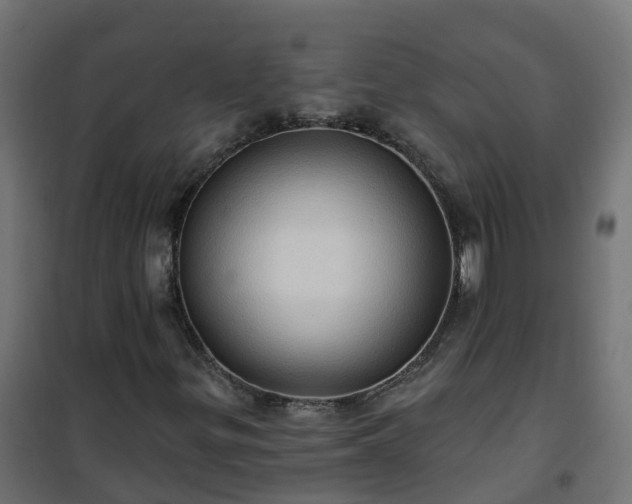 X0000101211299200807071329