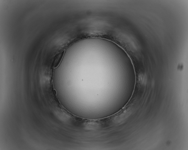 X0000101211300200807071329