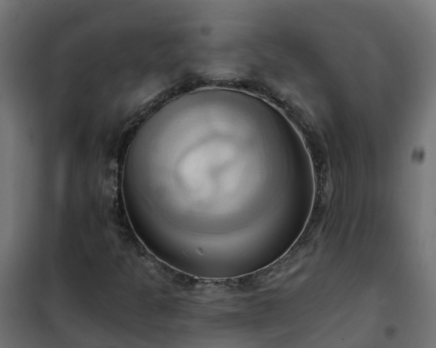 X0000101211301200807071329