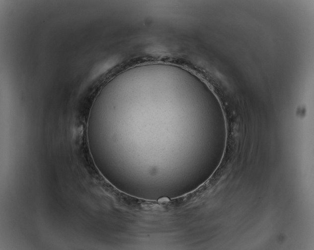 X0000101211302200807071329