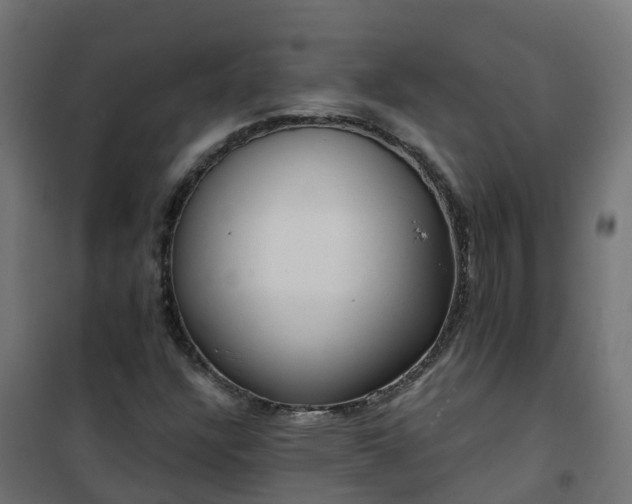 X0000101211304200807071329