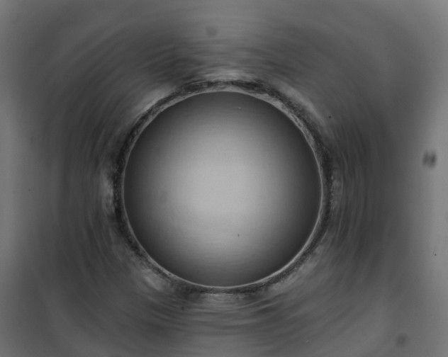 X0000101211305200807071329