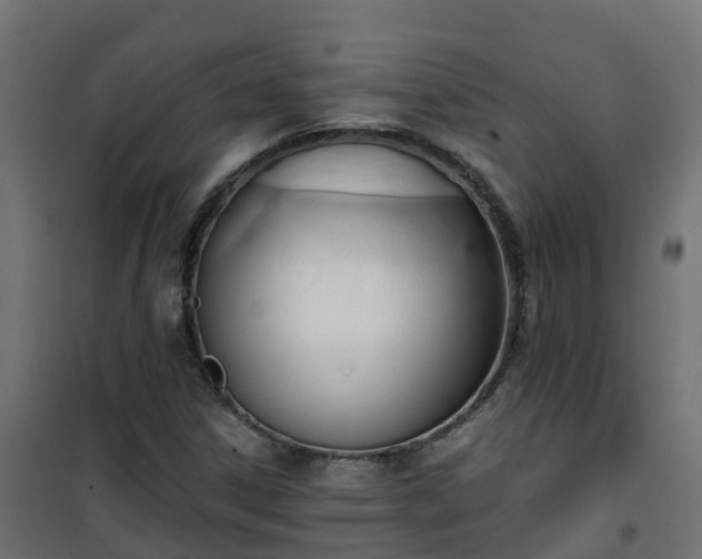 X0000101211306200807071329