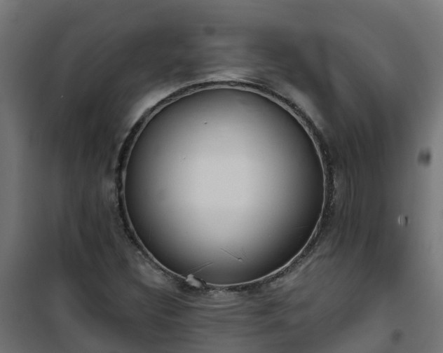 X0000101211308200807071329