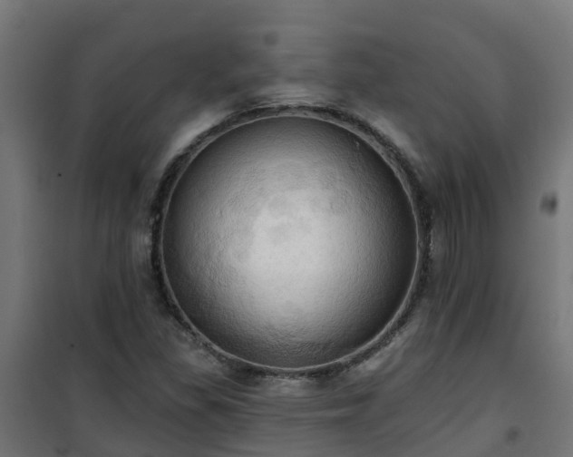 X0000101211309200807071329