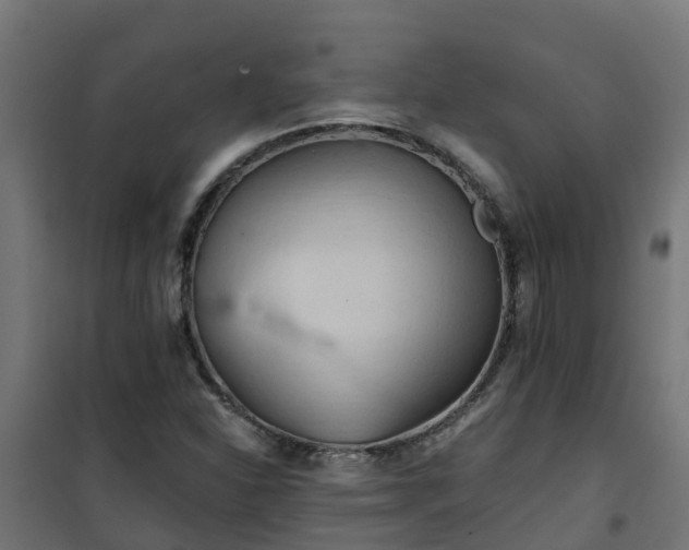 X0000101211310200807071329