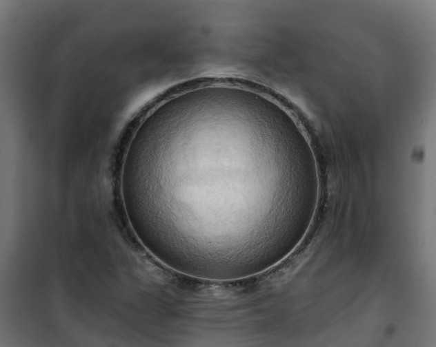 X0000101211311200807071329