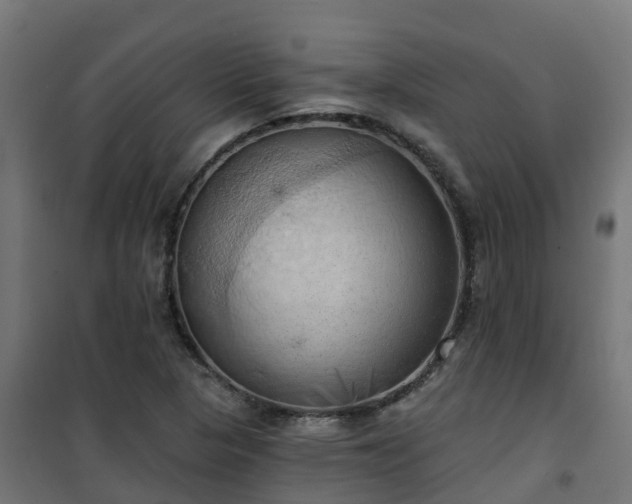 X0000101211313200807071329