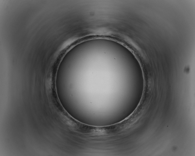 X0000101211315200807071329