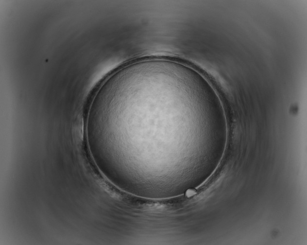 X0000101211317200807071329