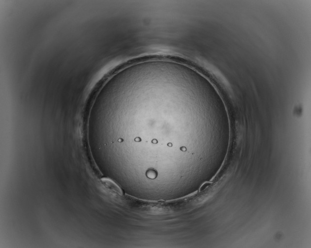 X0000101211318200807071329