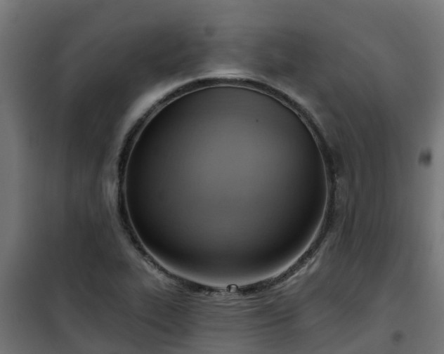 X0000101211319200807071329