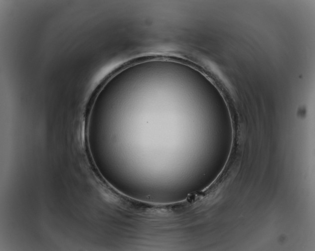 X0000101211320200807071329