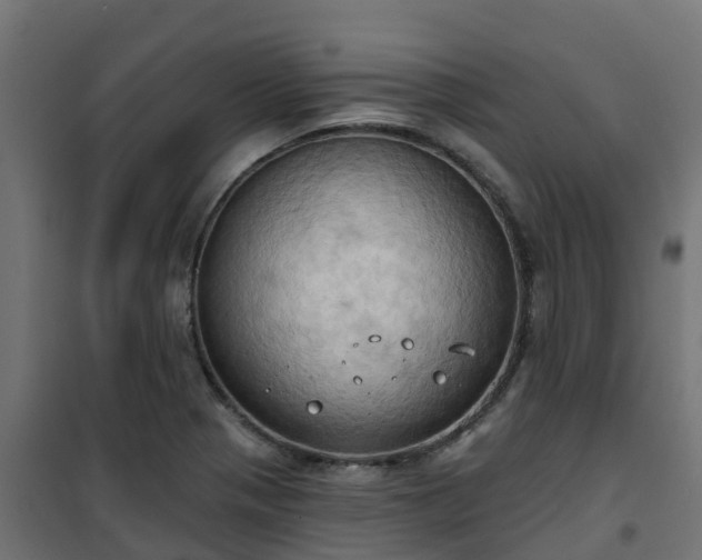 X0000101211321200807071329